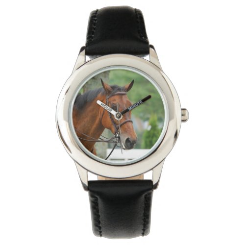 Bay Arab Horse Watch