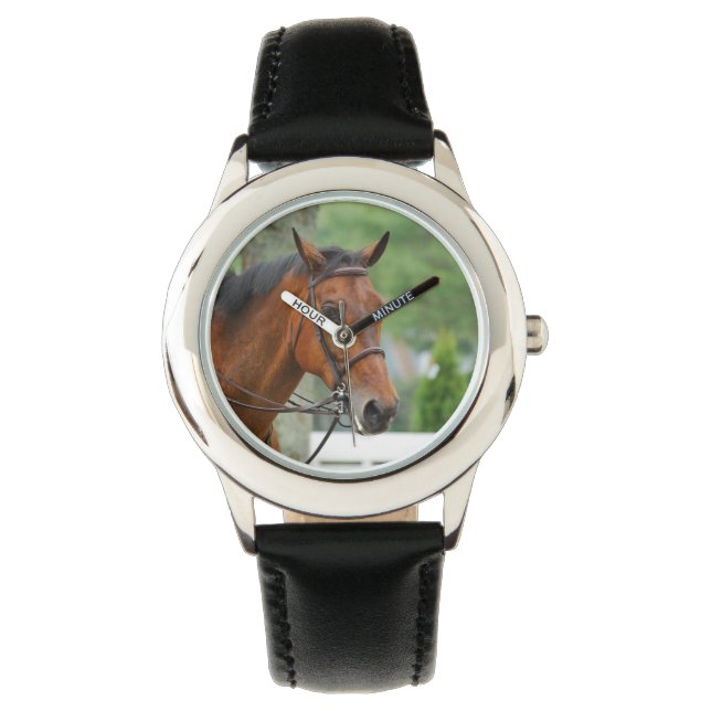 Bay Arab Horse Watch (Front)