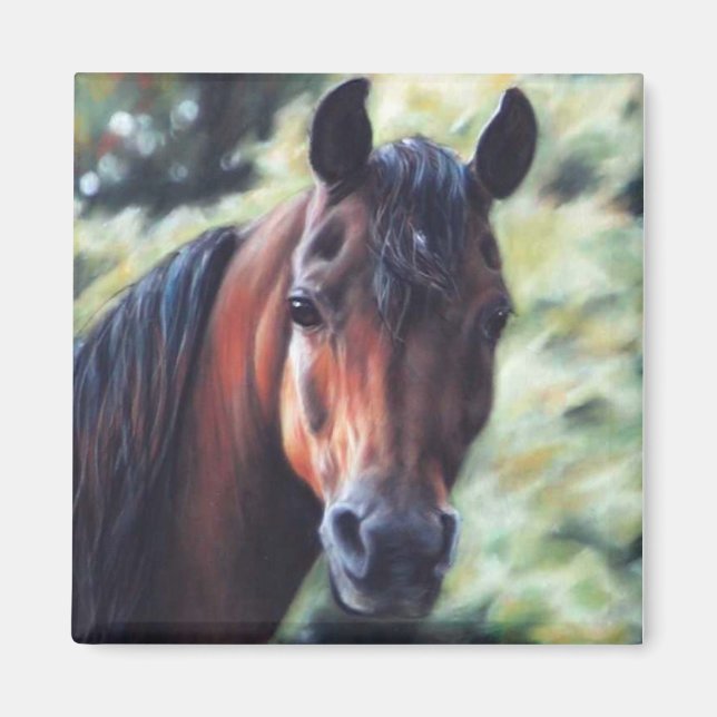 Bay Arabian horse face Magnet (Front)