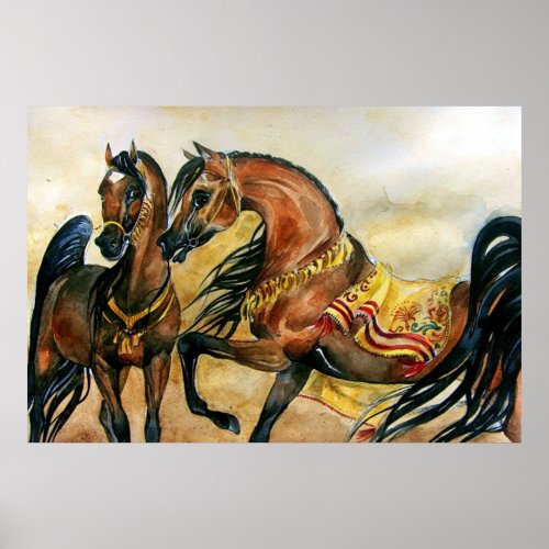 Bay Arabian Horse Portrait Poster Print