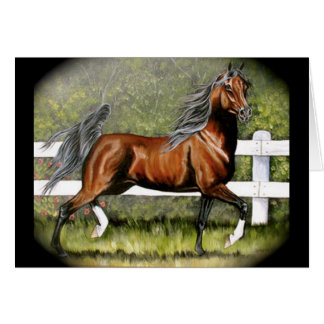 Bay Arabian Horse Running Cards