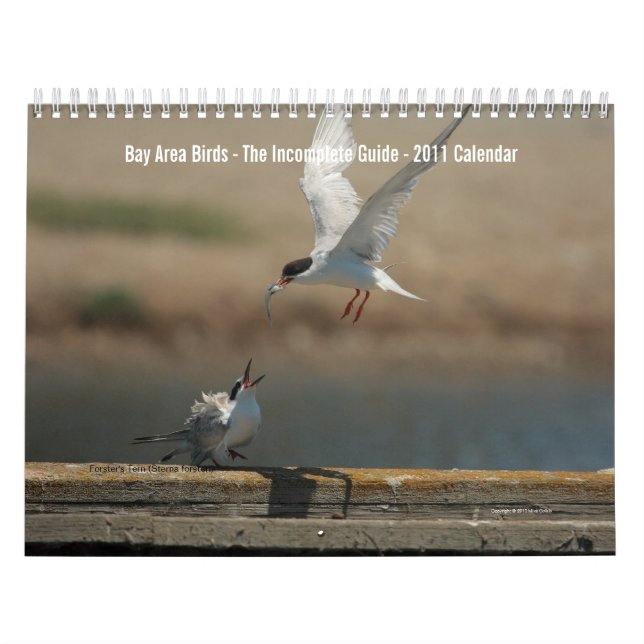 Bay Area Birds Calendar 2011 (Cover)