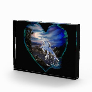 Bay at Night , Dolphin Love Acrylic Award