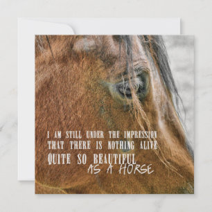 BAY BEAUTY 5.25 x 5.25 card