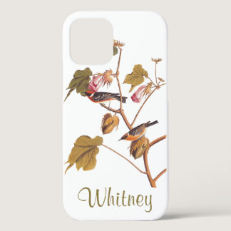 Bay Breasted Warbler Audubon Bird on Cotton Plant  iPhone 12 Case