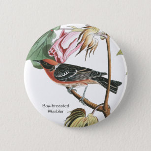Bay-breasted Warbler, Audubon, Wood Warbler, Bird Button