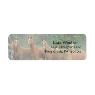 Bay Chestnut Brown Horses in Field with Trees Label
