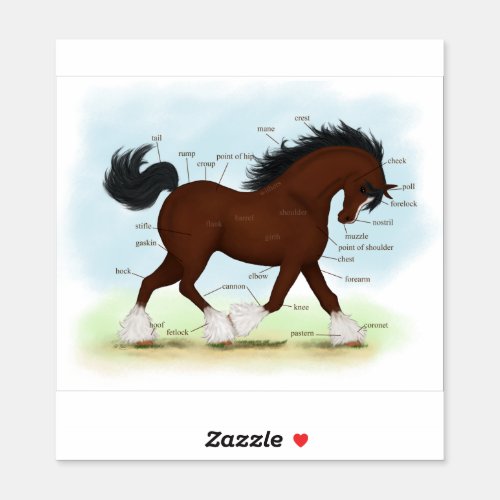 Bay Clydesdale Horse Anatomy Chart Educational Sticker