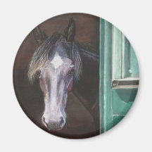 Bay foal peering out of barn