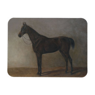 Bay Gelding Horse (by Albrecht Adam) Magnet