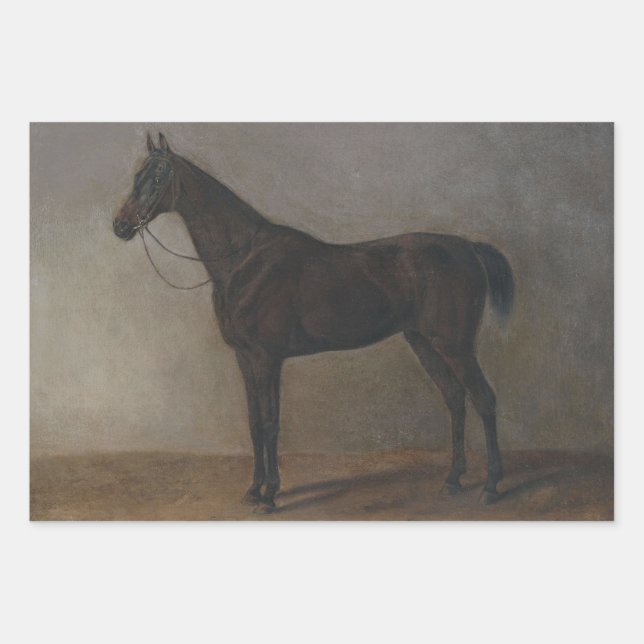 Bay Gelding Horse (by Albrecht Adam) Wrapping Paper Sheets (Front)