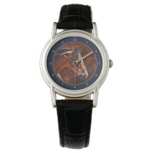 Bay Hanoverian Horse Slate Gray Watch