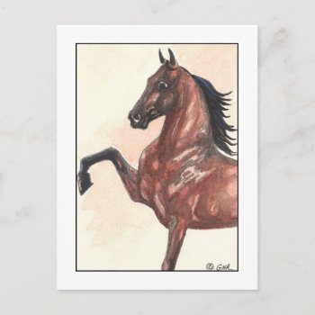 Bay Harness Pony 1 Postcard by GailRagsdaleArt at Zazzle