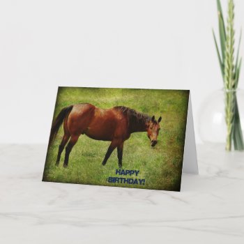 Bay Horse  Birthday Card by HorseCrazyIowa at Zazzle