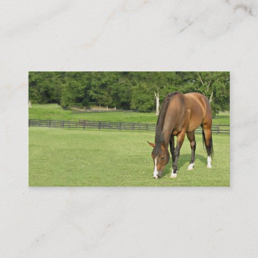 Customizable Bay horse business card