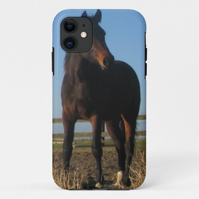 Bay Horse Case-Mate iPhone Case (Back)