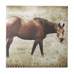 Bay Horse Ceramic Tile