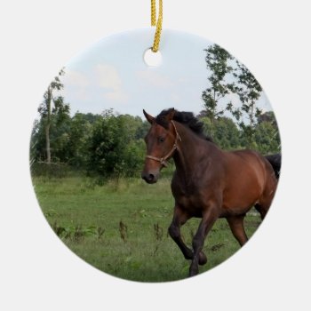 Bay Horse Design Ornament by HorseStall at Zazzle