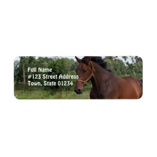 Horse Return Address Labels | Zazzle