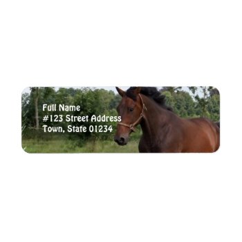 Bay Horse Design Return Address Label by HorseStall at Zazzle