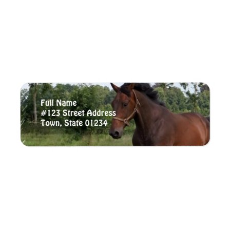 Bay Horse Design Return Address Label