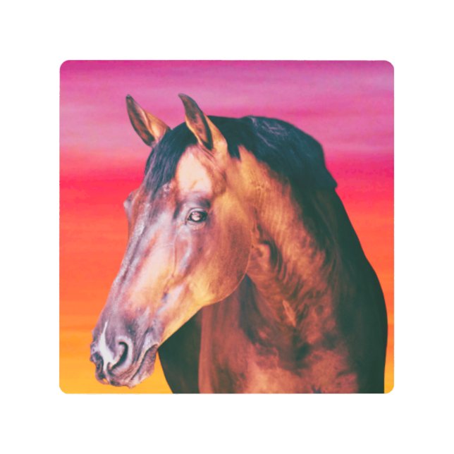Bay Horse Gradient    Metal Print (Front)