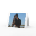 Bay Horse Greeting Card