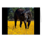 Bay Horse in a Field of Yellow Flowers (Front Horizontal)