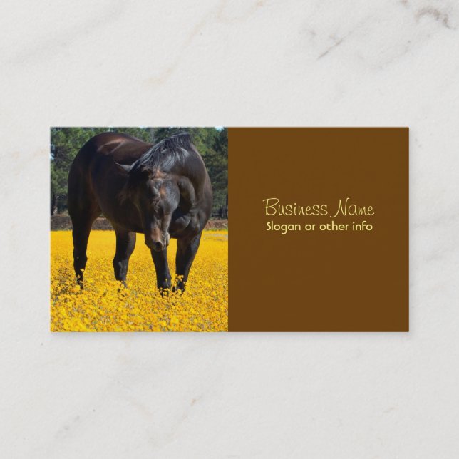 Bay Horse in a Field of Yellow Flowers Business Card (Front)