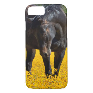 Bay Horse in a Field of Yellow Flowers iPhone 8/7 Case