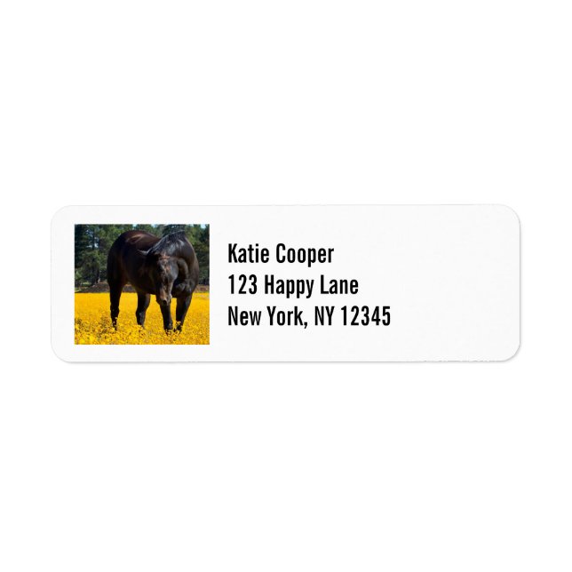 Bay Horse in a Field of Yellow Flowers Label (Front)
