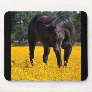 Bay Horse in a Field of Yellow Flowers Mouse Pad