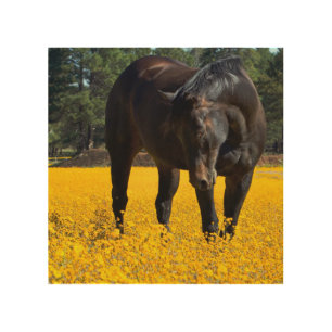 Bay Horse in a Field of Yellow Flowers Wood Wall Art