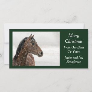 Bay Horse in Gently Falling Snow Holiday Card