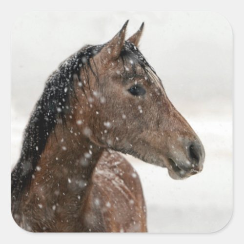Bay Horse in Gently Falling Snow Square Sticker