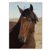 Bay Horse in Wind (Front)