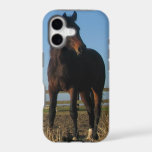 Bay Horse iPhone 17 Case