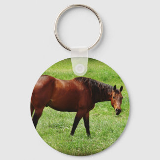 Bay Horse Keychain