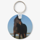 Bay Horse Keychain
