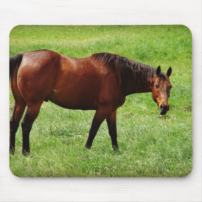 Bay Horse Mouse Pad (Front)