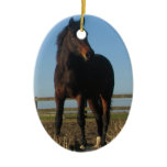 Bay Horse Ornament