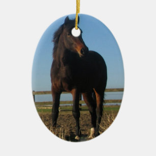 Bay Horse Ornament