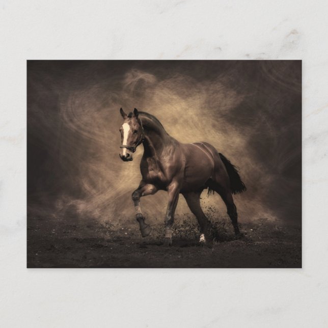 Bay Horse Postcard (Front)