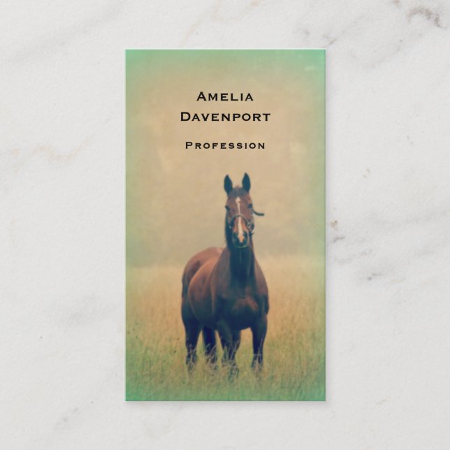 Bay Horse Standing in a Field Business Card (Front)