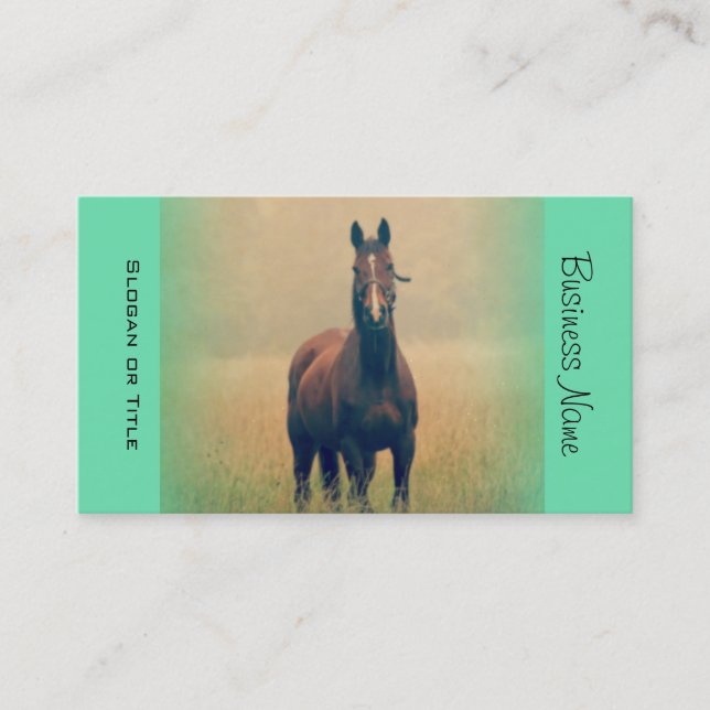 Bay Horse Standing in a Field Business Card (Front)