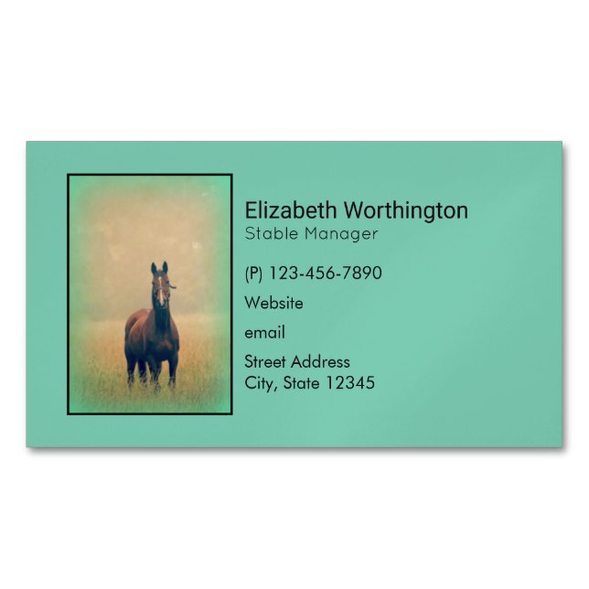 Bay Horse Standing in a Field Business Card Magnet (Front)