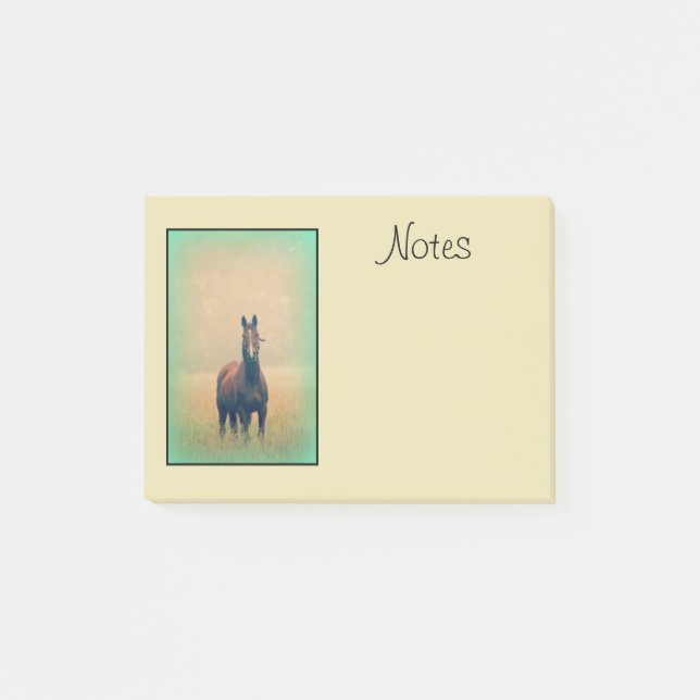 Bay Horse Standing in a Field Post-it Notes (Front)