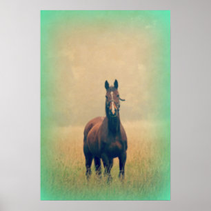 Bay Horse Standing in a Field Poster