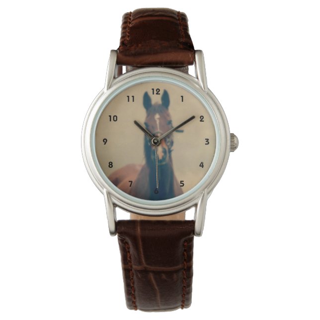 Bay Horse Standing in a Field Watch (Front)