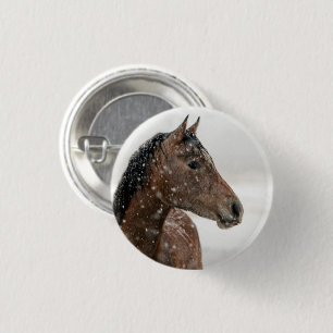 Bay Horse Standing in Gently Falling Snow Pinback Button